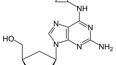 Abacavir - petunjuk penggunaan obat, struktur, Kontraindikasi