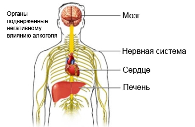 Злоупотребление алкоголем и алкоголизм