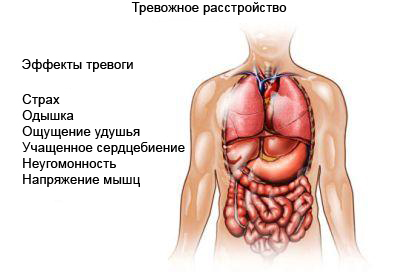 Генерализованное тревожное расстройство - физиологические эффекты