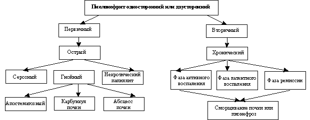 Классификация пиелонефрита по Н. А. Лопаткину и В. Е. Родоману
