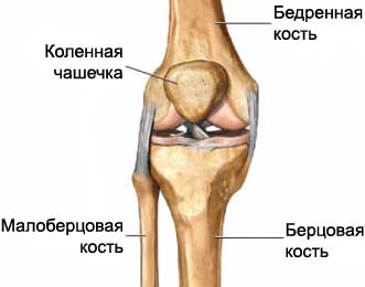 Остеотомия колена - Остеотомия коленного сустава