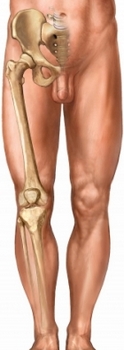 Кости ног и таза наиболее подвержены саркоме