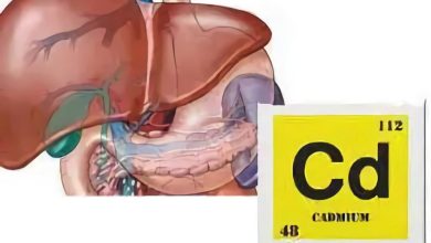 Cadmium forgiftning: behandling af sygdom, symptomer, diagnostik, forebyggelse