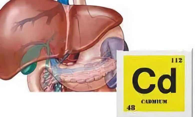 Cadmium vergiftiging: behandeling van een ziekte, symptomen, diagnostiek, het voorkomen