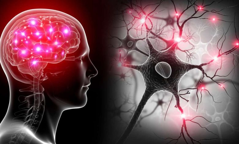 Encephalopathy: Apakah ini, punca, gejala, diagnostik, rawatan, pencegahan - Otak