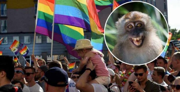 Вспышка оспы обезьян в Европе может быль связана с "рискованным поведением" геев и бисексуалов - эксперт ВОЗ