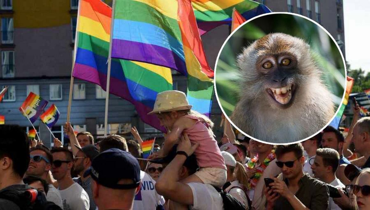 Uitbraak van apenpokken in Europa mogelijk in verband gebracht met 'risicogedrag'" homo en biseksueel - WIE-expert
