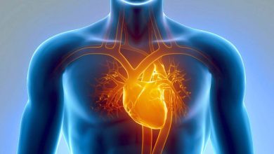 5 le malattie cardiovascolari più comuni, che può portare alla morte - Malattia Del Cuore - Cuore