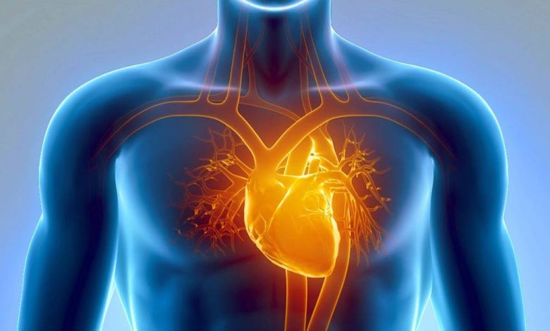 5 de vanligste hjerte- og karsykdommer, som kan føre til døden - Hjertesykdom - Hjerte
