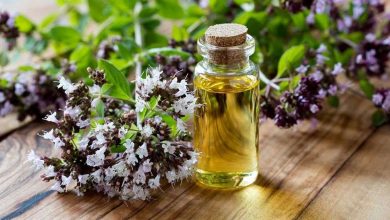 Marjoram essential oil: application recipes, properties, benefit and harm, what heals