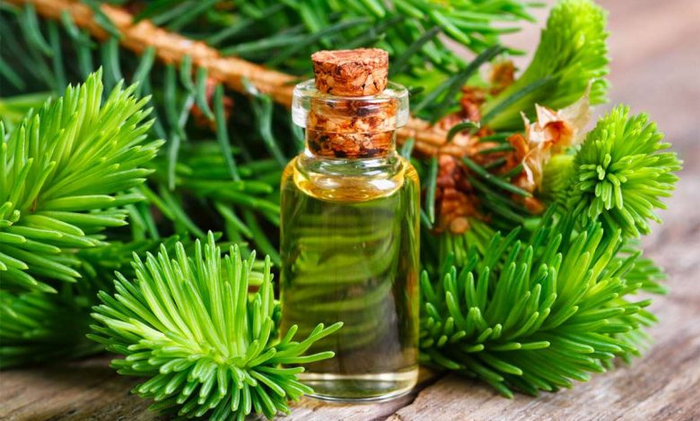 Olio Fir: proprietà, beneficio e danno, cosa guarisce, ricette di applicazione