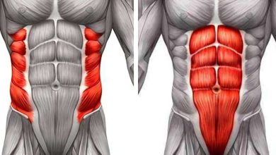 Мышцы живота, пресс - Ригидность мышц живота: что это такое, симптомы, диагностика, лечение, профилактика