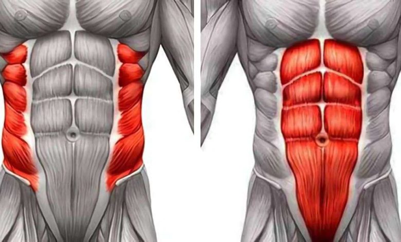 Muscles abdominaux, presse - Rigidité des muscles abdominaux: Qu'est-ce que c'est, symptômes, diagnostic, traitement, prévention