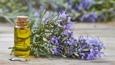 Esenciálny olej z rozmarínu officinalis: aplikačné recepty , čo lieči