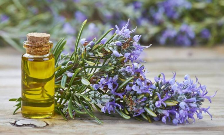 Етерично масло от розмарин officinalis: рецепти за приложение , какво лекува