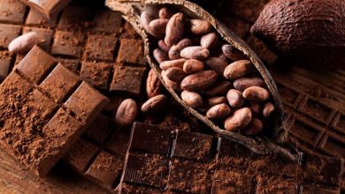 Teobromina: on està contingut, propietats beneficioses i nocives, efectes secundaris de la xocolata i el cacau