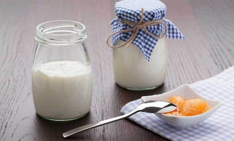 Greek yogurt vs kefir: differences and advantages of two fermented milk products