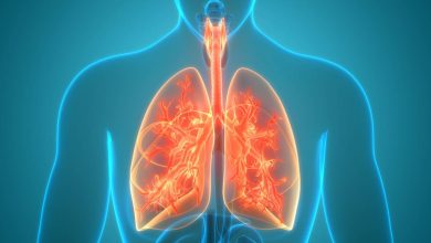 快速淺呼吸, 呼吸急促: 這是什麼, 原因, 症狀, 診斷, 治療, 預防 - 人的肺