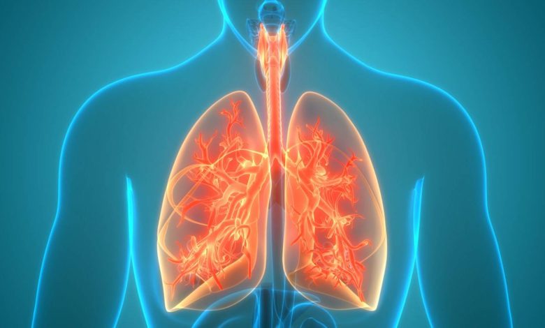 Szybki płytki oddech, szybki oddech: co to jest, Przyczyny, Objawy, diagnostyka, leczenie, zapobieganie - Ludzkie płuca