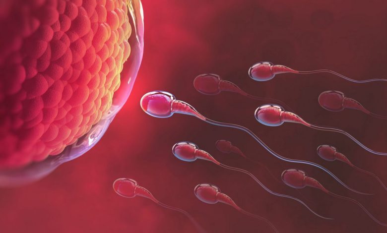Asinis, sperma, hematospermija: kas tas ir, cēloņi, simptomi, diagnostika, ārstēšana, profilakse