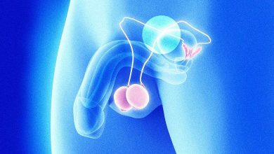 Douleur dans les testicules et le scrotum: Qu'est-ce que c'est, les causes, symptômes, diagnostic, traitement, prévention - Pénis - système reproducteur