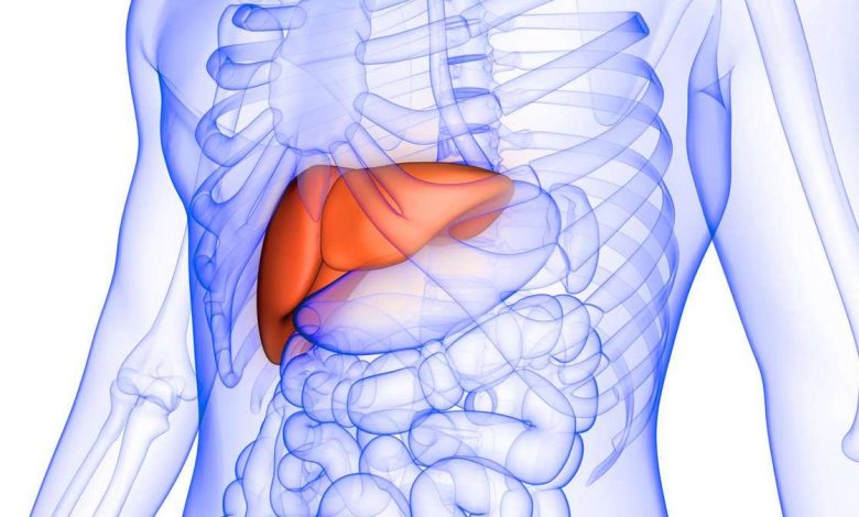 肝臟腫大, gepatomegaliya: 這是什麼, 原因, 症狀, 診斷, 治療, 預防