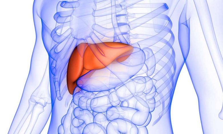 Forstørret lever, gepatomegaliya: hva er det, årsaker, symptomer, diagnostikk, behandling, forebygging